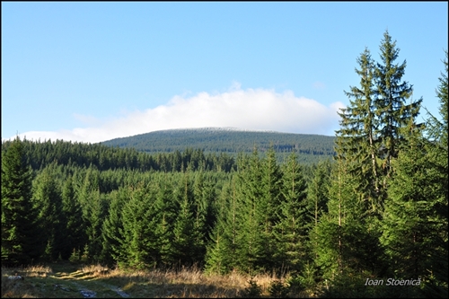 /harghita/dsc_5709.jpg