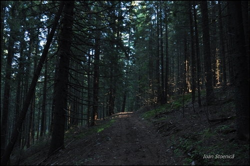 /harghita/dsc_5712.jpg
