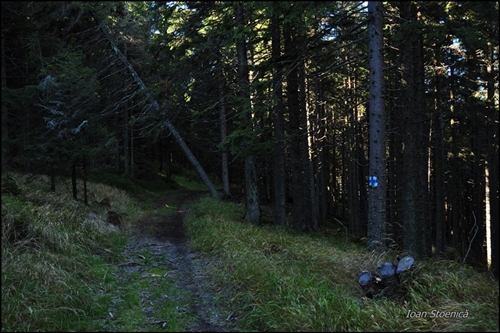 /harghita/dsc_5741.jpg