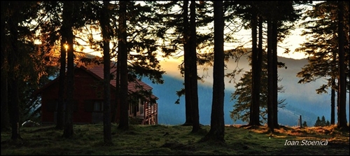 /harghita/dsc_5876.jpg