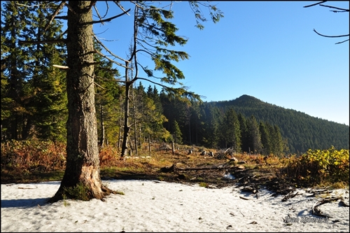 /harghita/dsc_5946.jpg