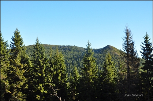 /harghita/dsc_5960.jpg