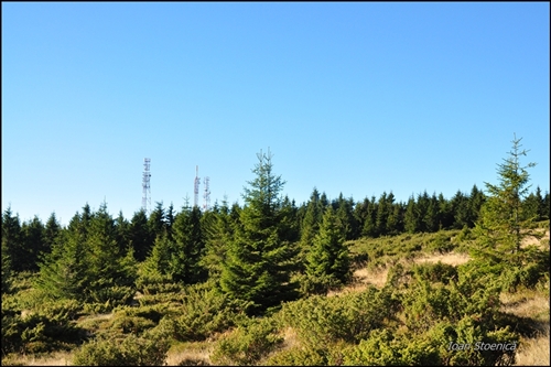 /harghita/dsc_5977.jpg