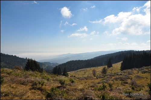/harghita/dsc_6106.jpg