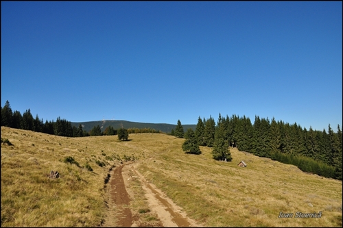 /harghita/dsc_6121.jpg