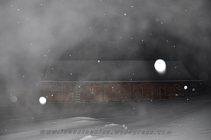 /hasmas/dsc_3657.jpg
