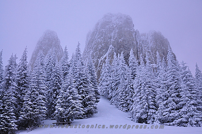 /hasmas/dsc_3666.jpg