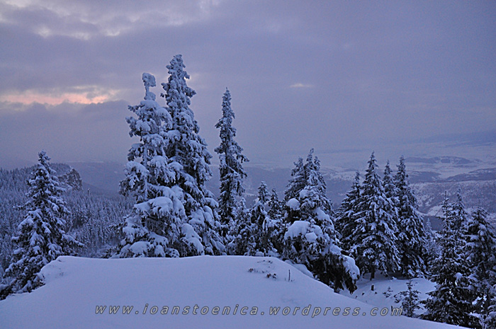/hasmas/dsc_3781.jpg