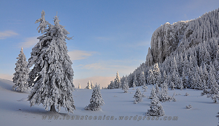 /hasmas/dsc_3840.jpg