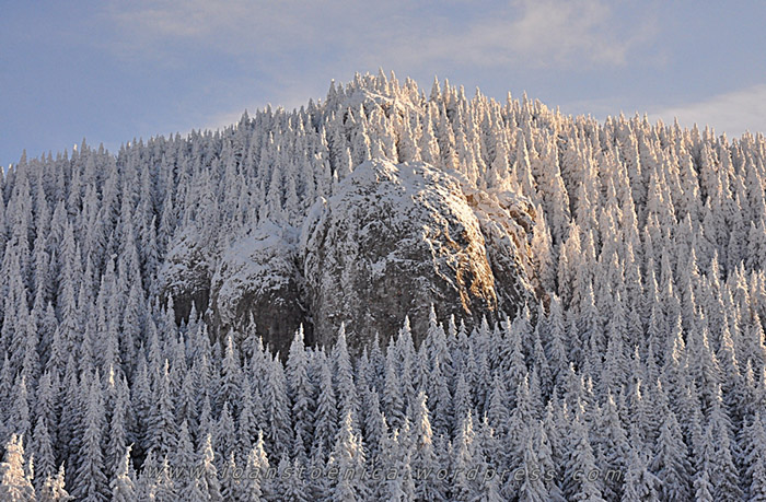 /hasmas/dsc_3841.jpg