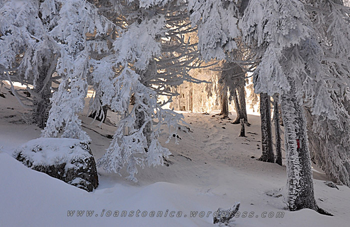 /hasmas/dsc_3866.jpg