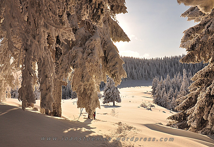 /hasmas/dsc_3867.jpg