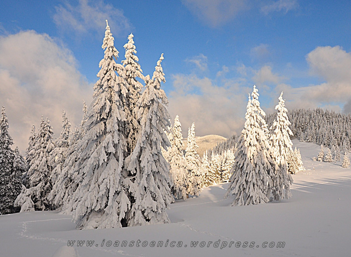 /hasmas/dsc_3877.jpg
