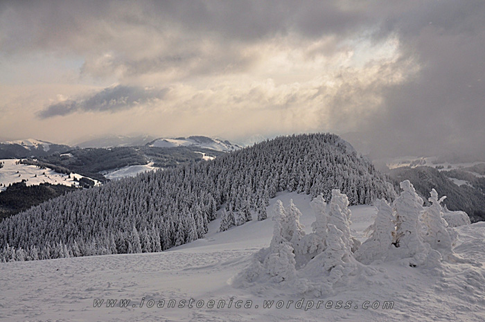 /hasmas/dsc_3921.jpg