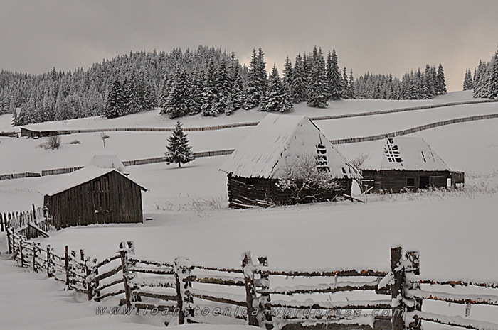 /hasmas/dsc_3999_-_copy.jpg