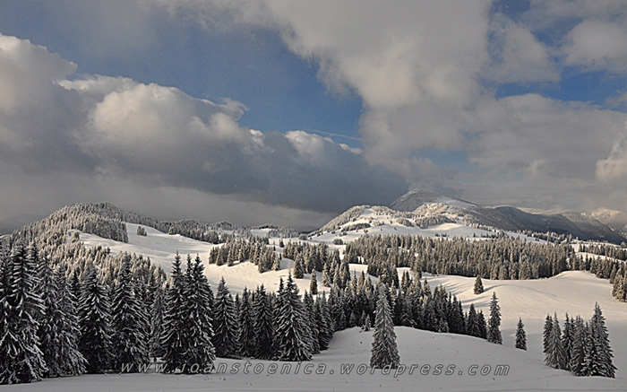 /hasmas/dsc_4017.jpg