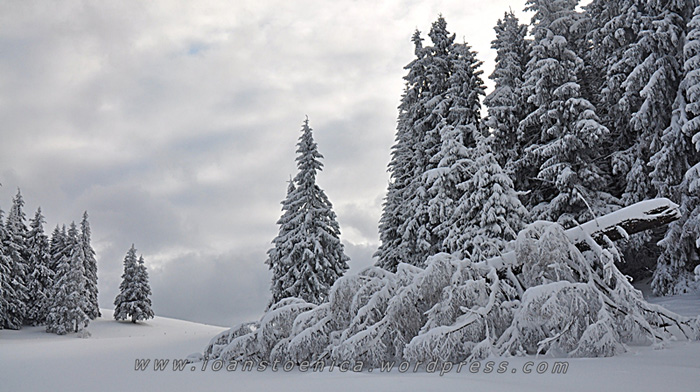 /hasmas/dsc_4024.jpg
