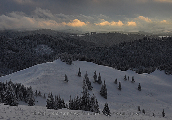 /hasmas/dsc_4060.jpg