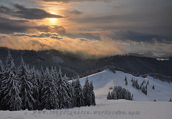 /hasmas/dsc_4071.jpg