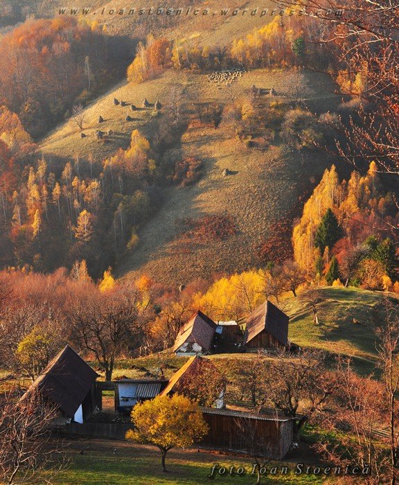 /holbavToamna/dsc_5502.jpg