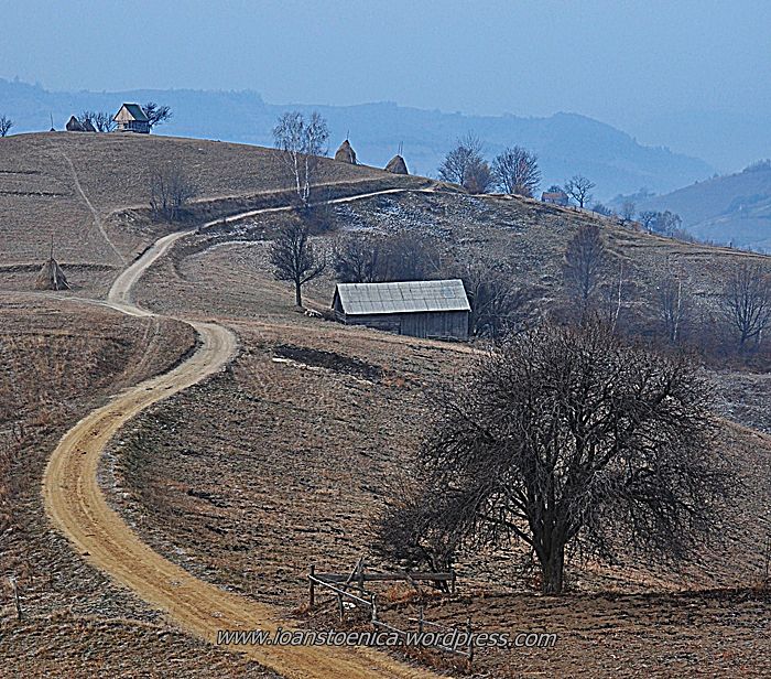 /persani/dsc_0533.jpg