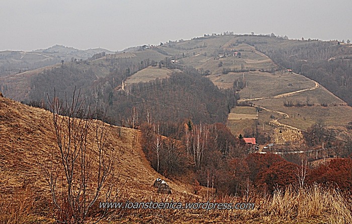 /persani/dsc_0689.jpg