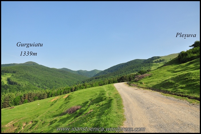 /plesuva/dsc_7530.jpg