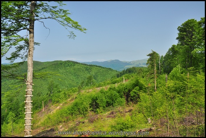/plesuva/dsc_7588.jpg