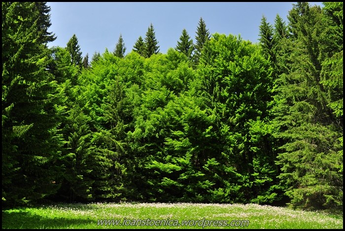 /plesuva/dsc_7652.jpg