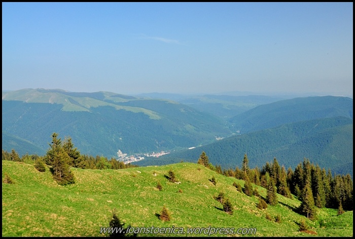 /plesuva/dsc_7851.jpg