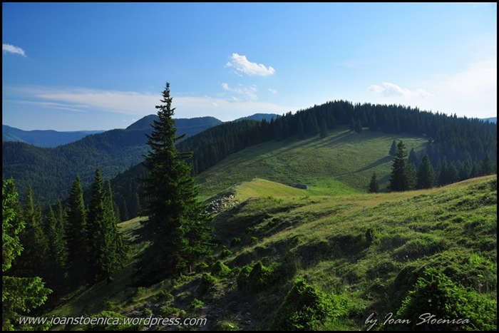 /primulUrs/dsc_9657.jpg