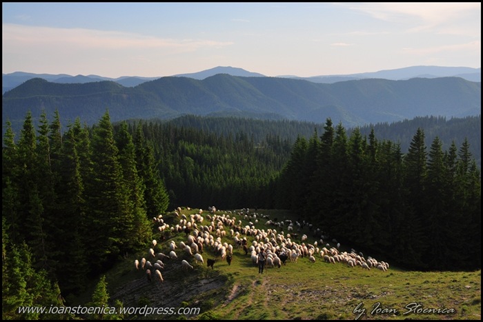 /primulUrs/dsc_9684.jpg