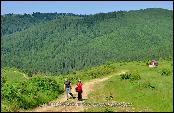 /remarcarevrancea/dsc_7971.jpg