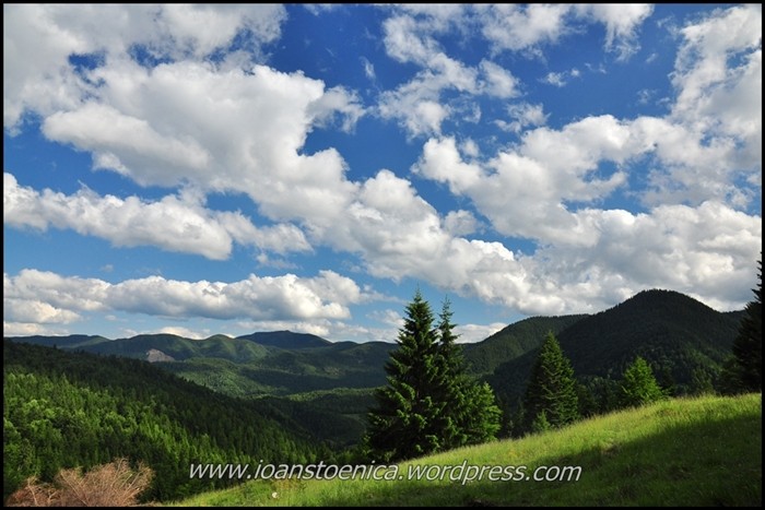 /remarcarevrancea/dsc_8176.jpg