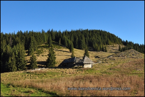 /vrancei1/dsc_7254.jpg