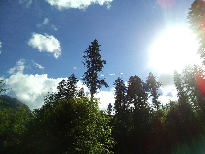 /Bucegi/img_20170528_163638.jpg
