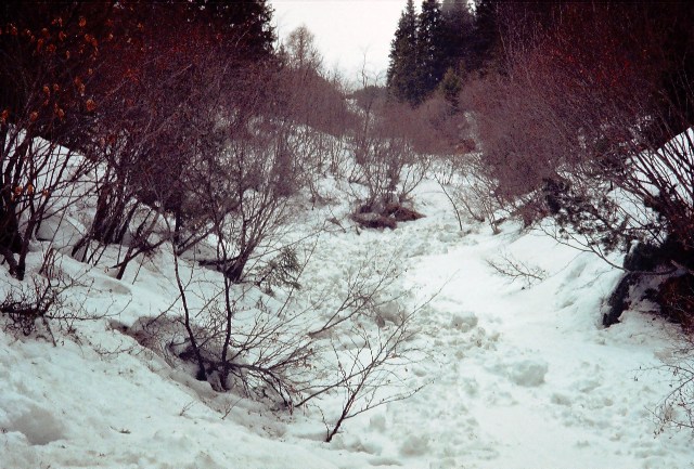/bucegi/r001-008.jpg