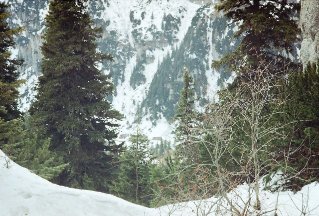 /bucegi/r001-010.jpg