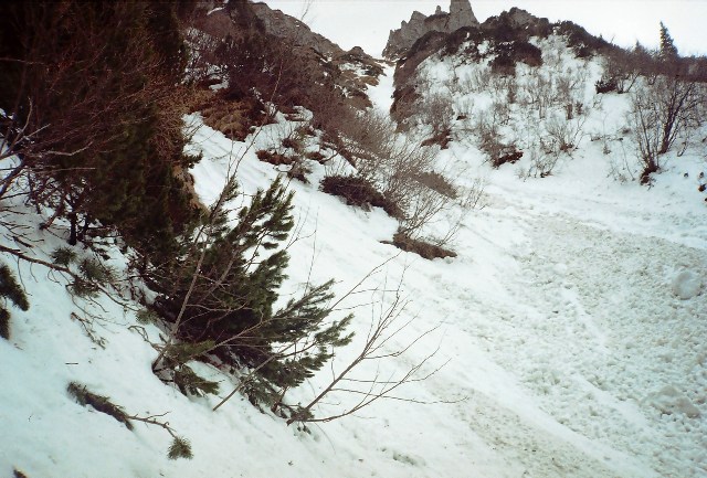 /bucegi/r001-012.jpg