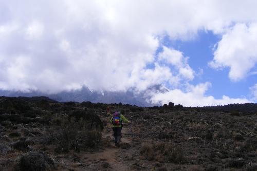 /KILIMANJARO/23.jpg