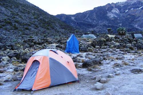 /KILIMANJARO/35.jpg