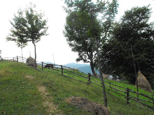 Carpati.org