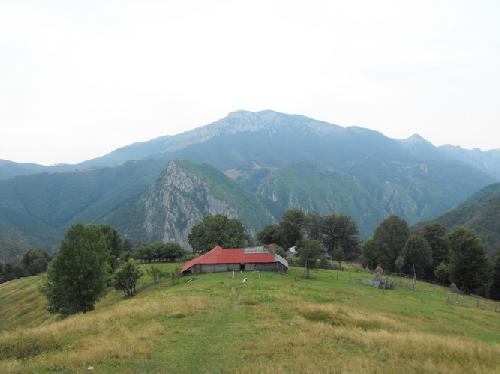 Carpati.org