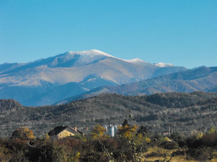 /Toamna/dscf3361.jpg