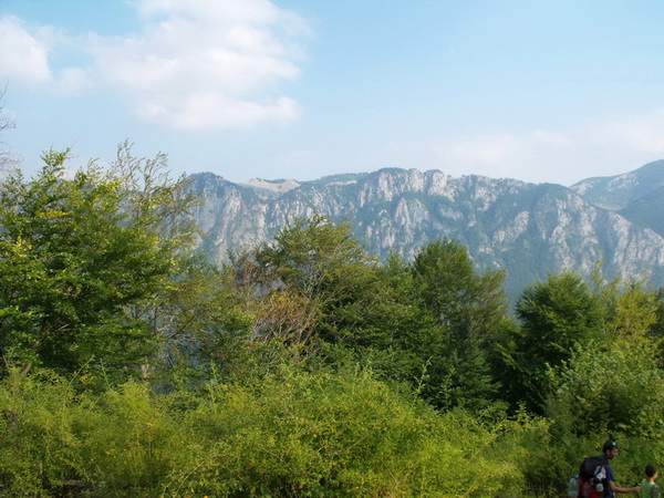 /Viru/dscf5185.jpg