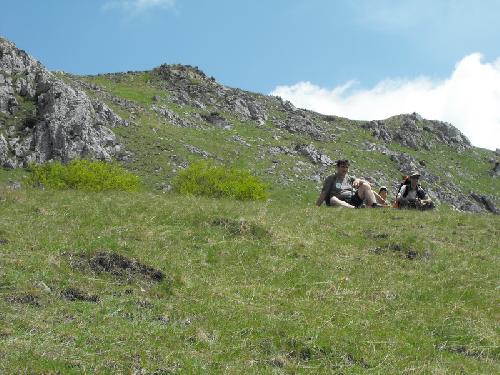 Carpati.org