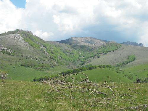 Carpati.org