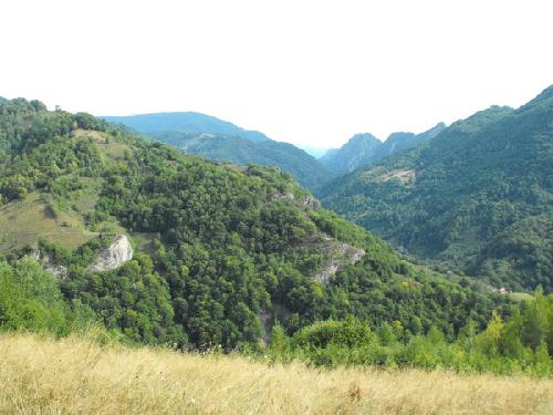Carpati.org
