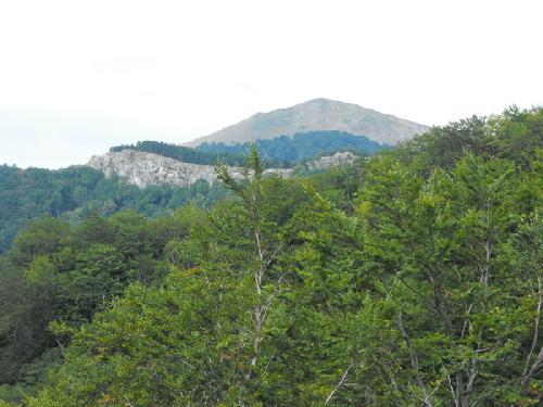 Carpati.org