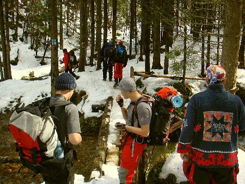 Carpati.org